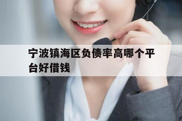 宁波镇海区负债率高哪个平台好借钱